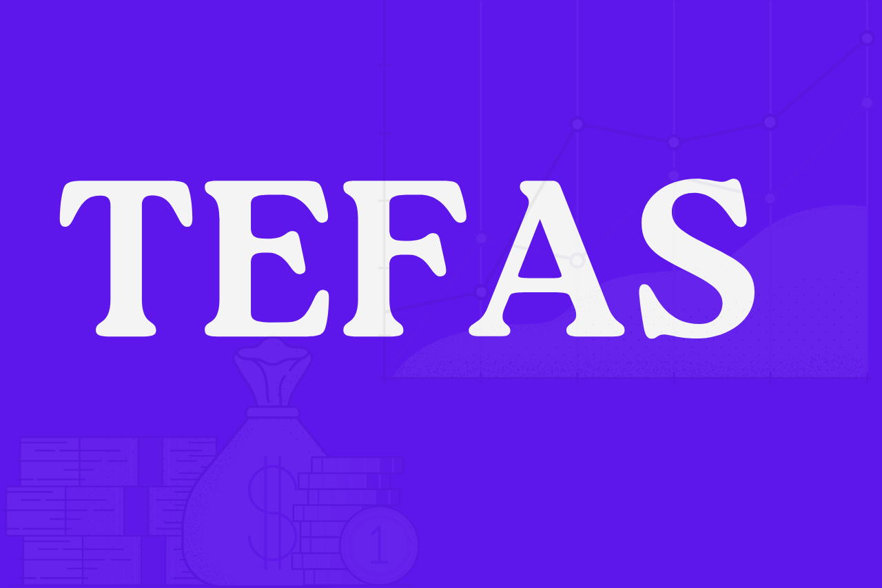 TEFAS Nedir Yatırımcılar İçin Rehber