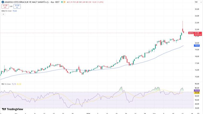 aefes-hisse-grafik aefes-hisse-grafik